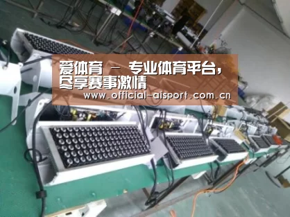 爱体育案例展示一