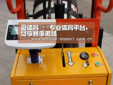 爱体育案例展示三(图1)