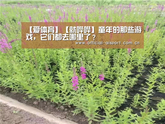 【爱体育】【就哔哔】童年的那些游戏,它们都去哪里了?(图1) 爱体育