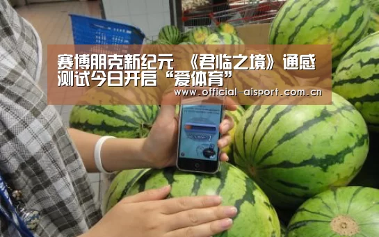 赛博朋克新纪元 《君临之境》通感测试今日开启“爱体育”(图3) 爱体育